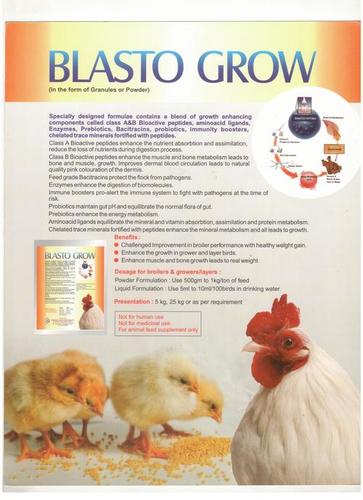 Poultry Growth Promoter By RAINBOW HEALTH CARE PRODUCTS