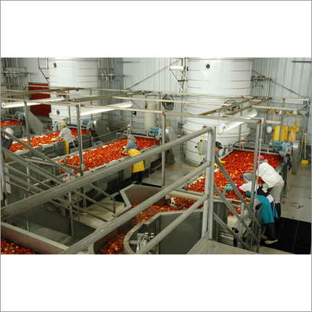 Tomato Processing Plant