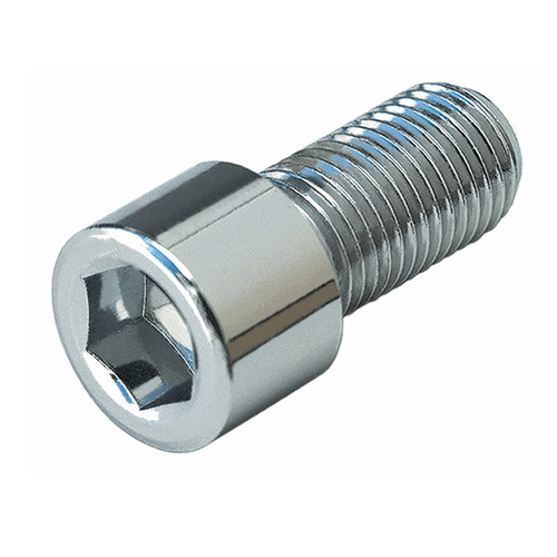 SS LN Cap Bolt