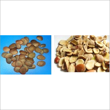 Obgo Mono Herbal Seeds