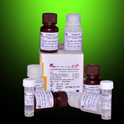 LiquiMAX BILIRUBIN