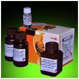 LiquiMAX GLUCOSE InstaMIX- SLR