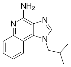  इमीकिमॉड C14H16N4