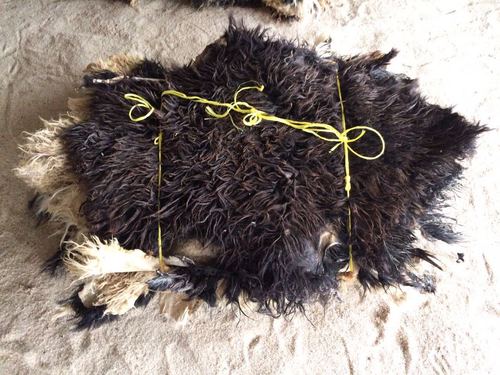 Goat hides