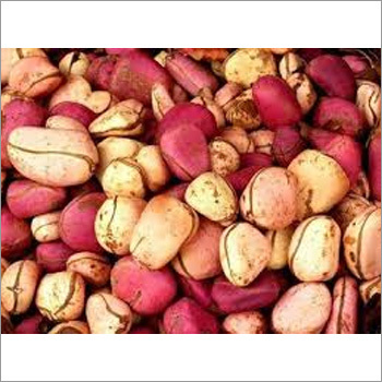 Pure Kola Nuts
