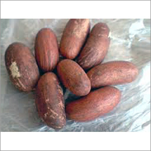Bitter Kola Nut