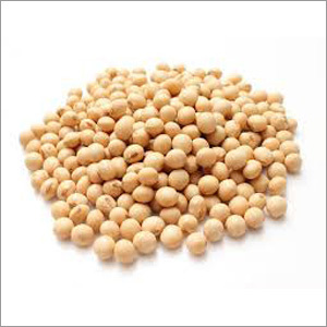 Yellow Soya Beans