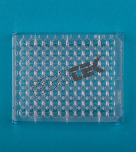 Micro Titer Plate