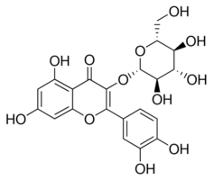 Quercetin 3-glucuronide