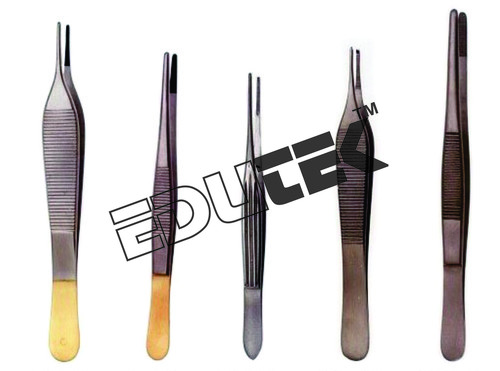 Stainless Steel Nickel Plated Medical Forceps