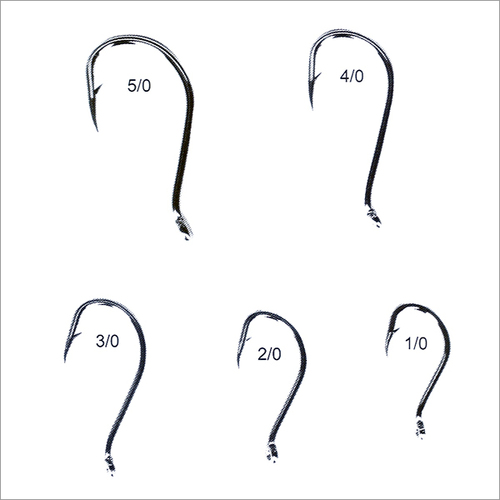 Beak Hooks 1970 -Ringed