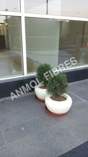 Indoor Plant Fiber Pot