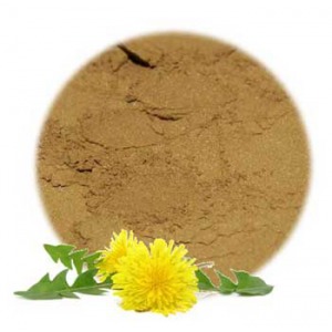Dandelion Root Powder
