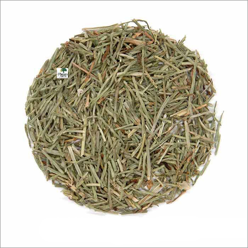 Horsetail Tea