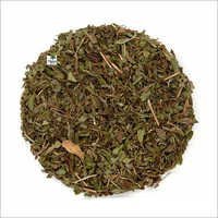 Spearmint Tea