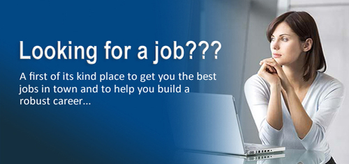 Placement Consultancy - All-Level Candidate Placement, Structured Process, Skill Matching, Career Building