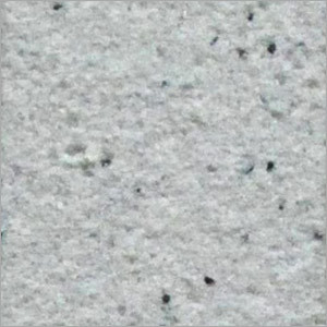 Dalmatian Wall Textured Paint