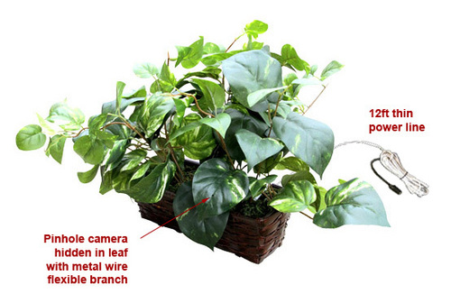 Spy Secret Hidden Fake Money Plant Camera Camera Pixels: 5 Megapixel (Mp )