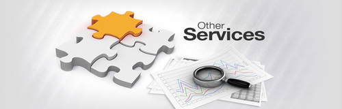 Other Services - Financial Support with Tally ERP 9, Account Maintenance, Loan Assistance, Insurance Options, Tax Compliance