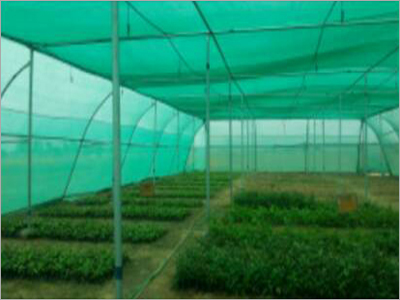 Poly House Structure - Green Polyethylene Design | Durable, Weather-Resistant, Optimized for Plant Growth
