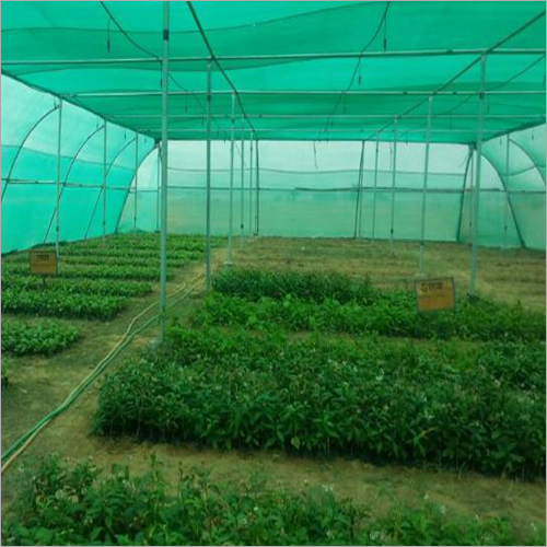 Medicinal Hybrid Plant