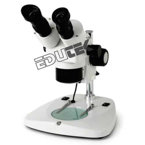 Stereo Microscope