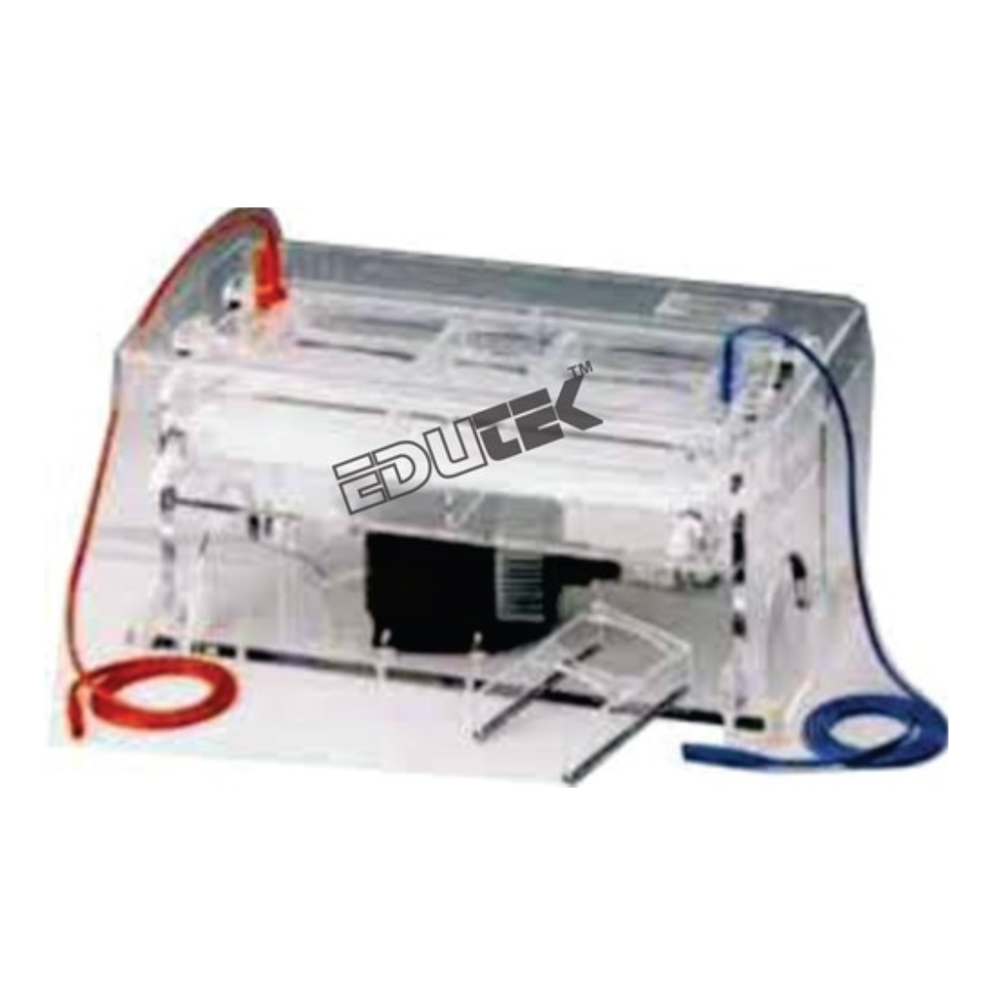 Electrophoresis
