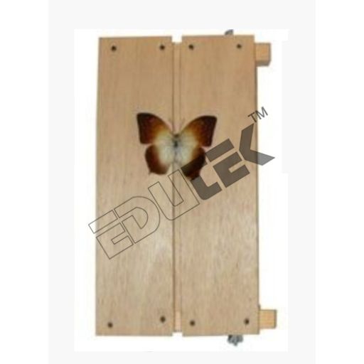 Insect Setting/ Spreading Board - Accuracy: 100  %