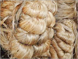 Raw Jute
