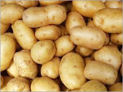 Fresh Potato