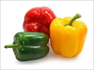 Fresh Capsicum
