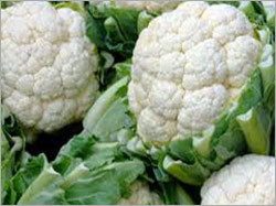 Fresh Cauliflower