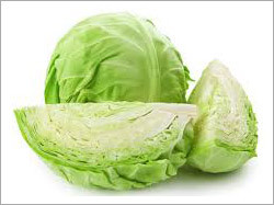 Fresh Cabbage
