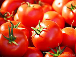 Fresh Tomato