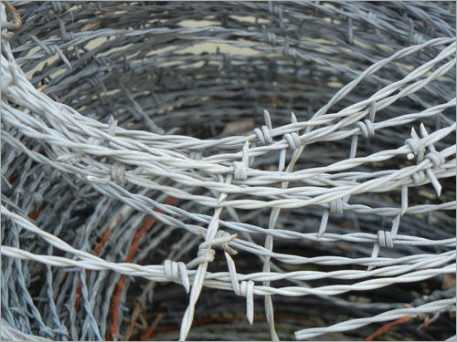 Barbed Wire