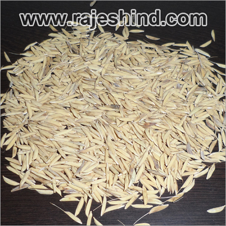 Organic Traditional Paddy