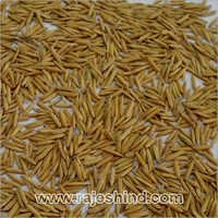 Organic 1121 Paddy