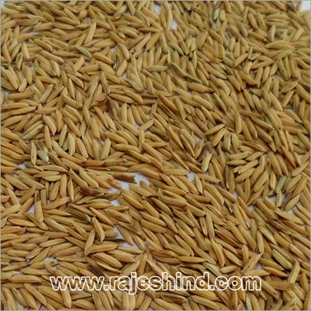 Organic Parmal Paddy