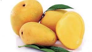 Payari Mango