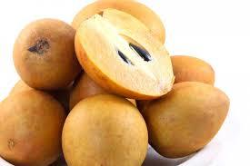 Sapota