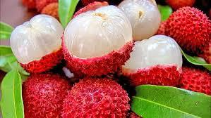Litchi