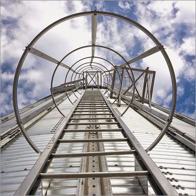 Caged Ladder Silo Access
