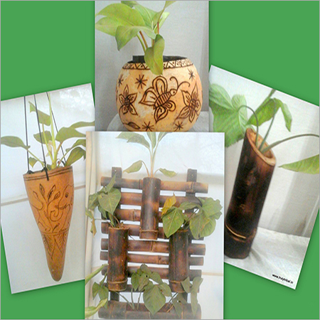 Planters Tuma and Bamboo Craft