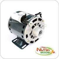 Pump Motors