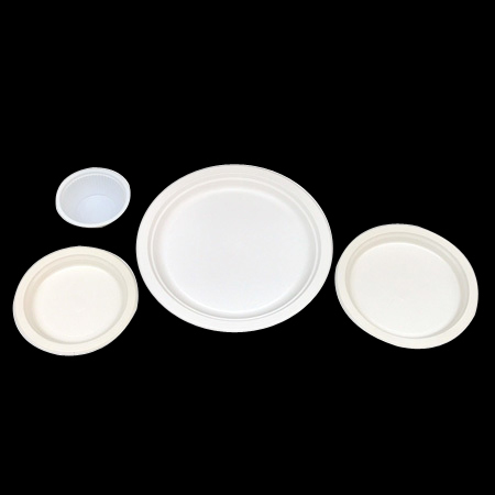 Disposable Paper Plate