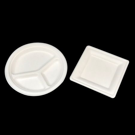 Disposable Food Tray