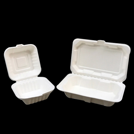 Biodegradable Disposable Food Tray