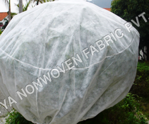 White Pp Spunbonded Nonwoven Fabric