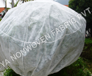 PP Spunbonded Nonwoven Fabric