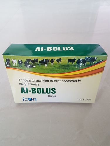 Ai - Bolus